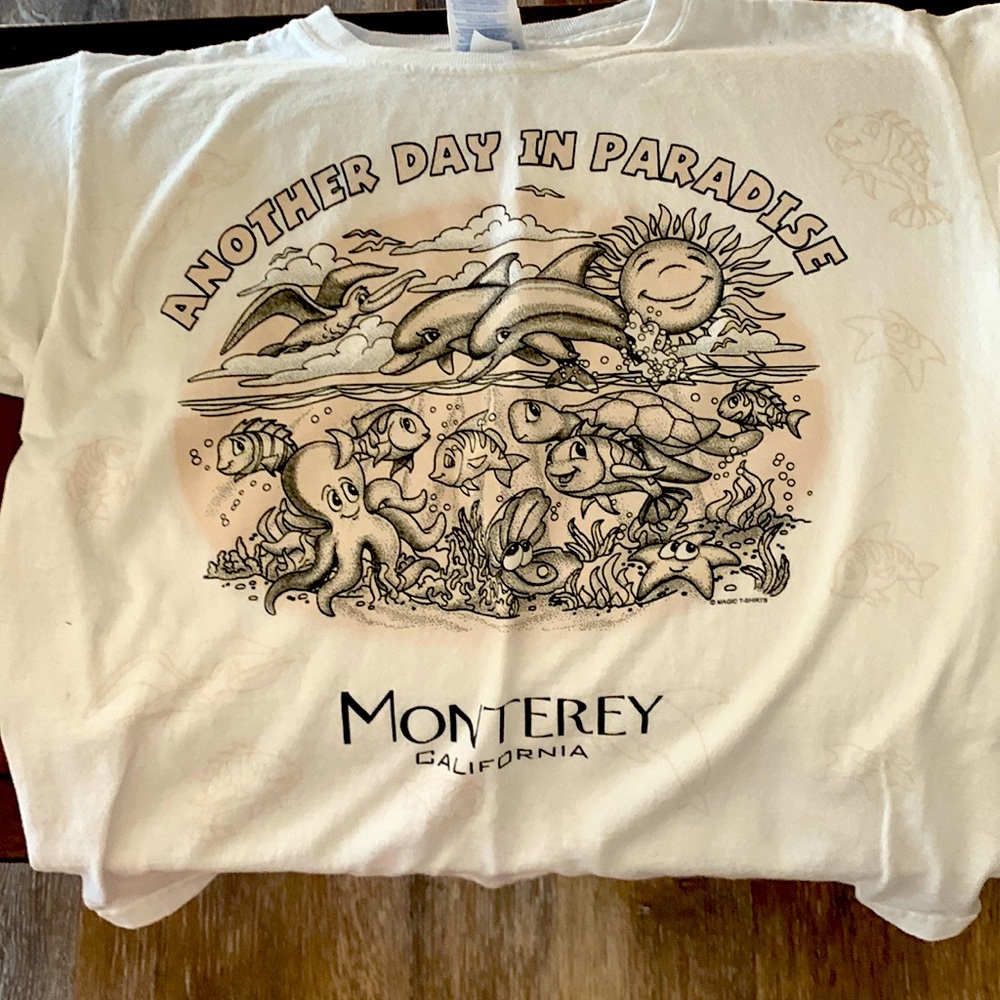 Monterey California Kids Small Color Changing TShirt
